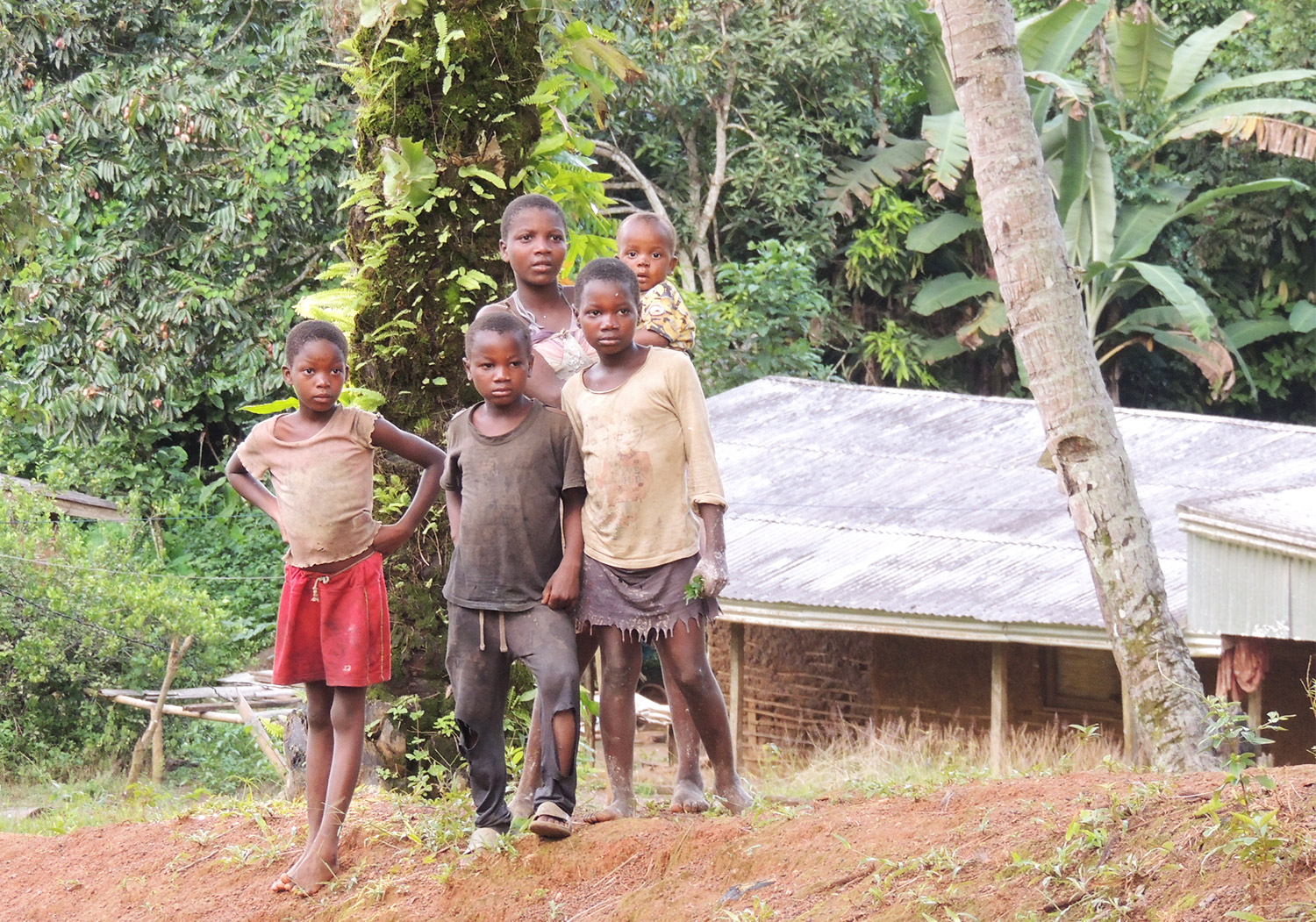 Vivre en brousse une lutte quotidienne Afrique Future Association